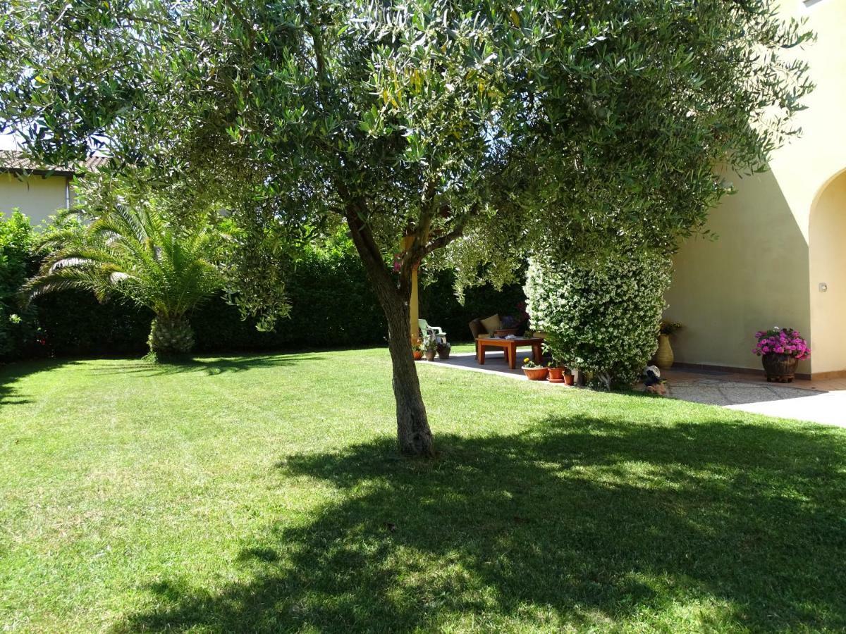 B&B La Dolce Vita Marsiliana Exterior photo